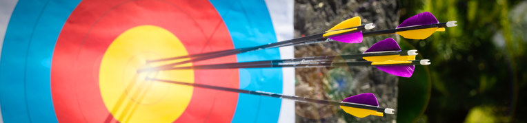 An archery target with arrows