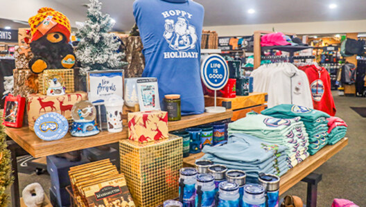 General store winter section