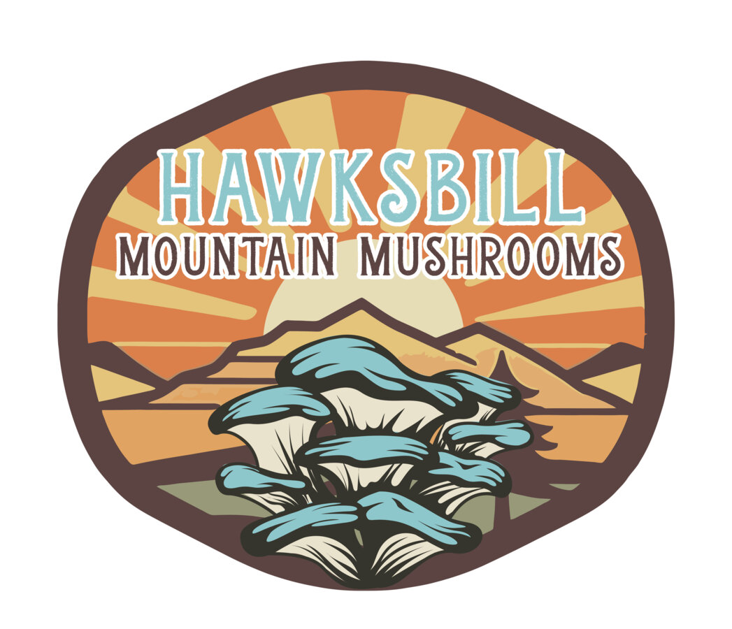 Hawksbill Mountain Mushrooms